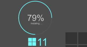 Windows loading 79 percent