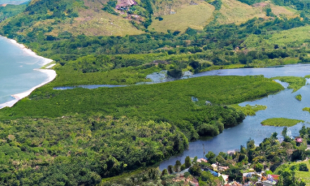 Courtier eToro au Mozambique