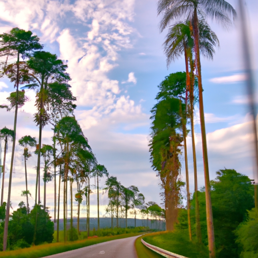 Questões essenciais da ZuluTrade respondidas