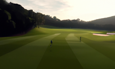 Principais alternativas da ZuluTrade reveladas