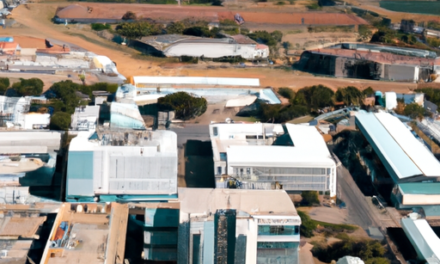 Explorando os serviços do XTB Broker em Angola